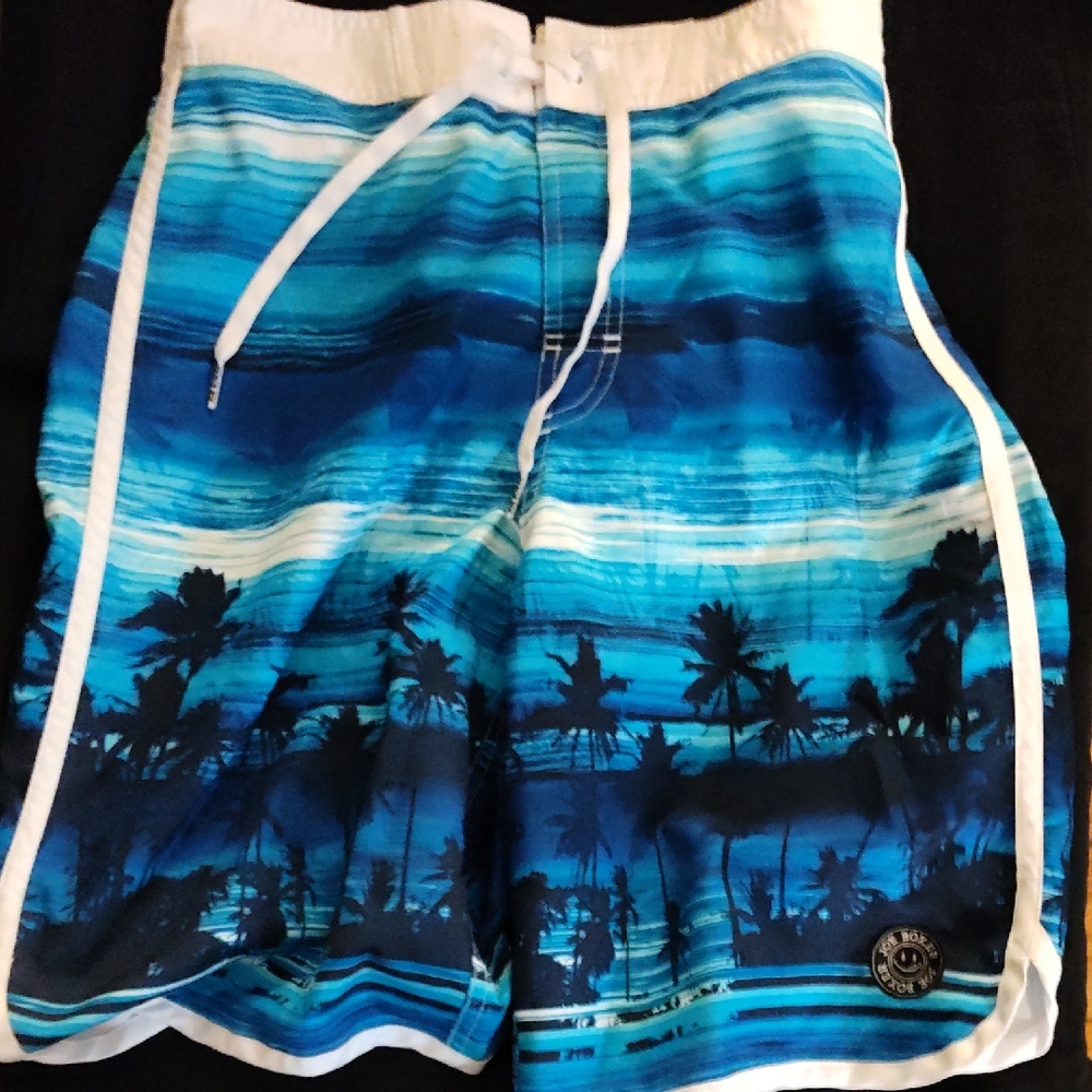 Joe Boxer Ocean Blue Palm Swim Shorts